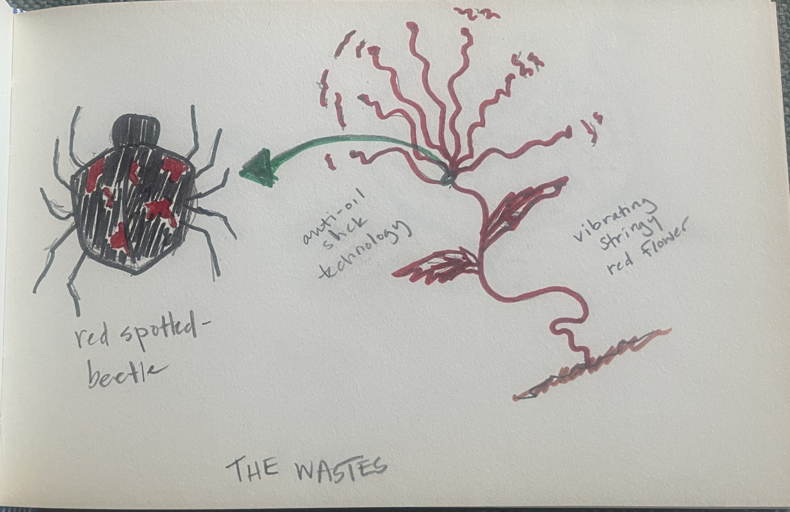 480 – Hardcore Ecologist with Emily Hartford